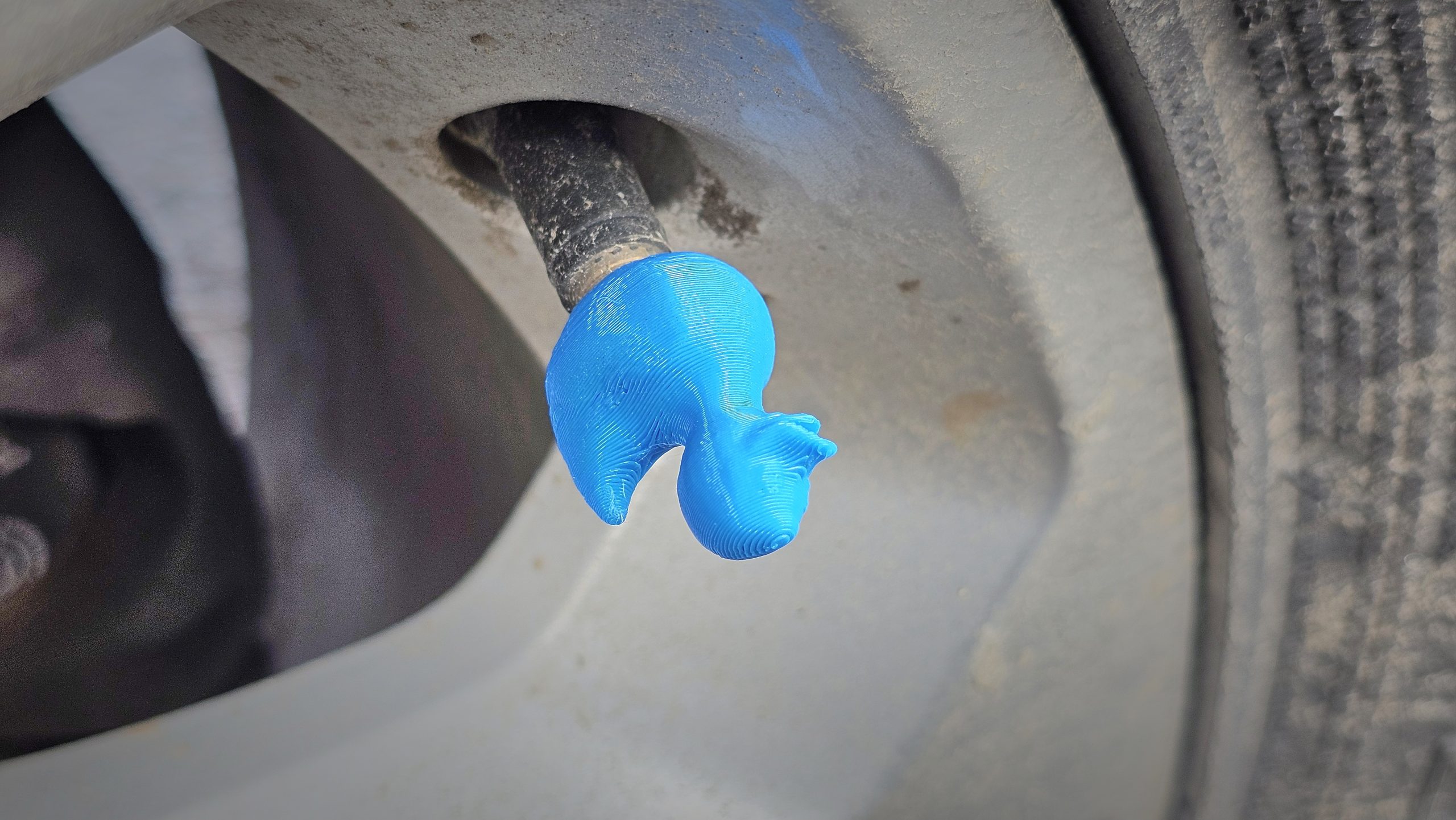 Duck Tire Valve Caps
